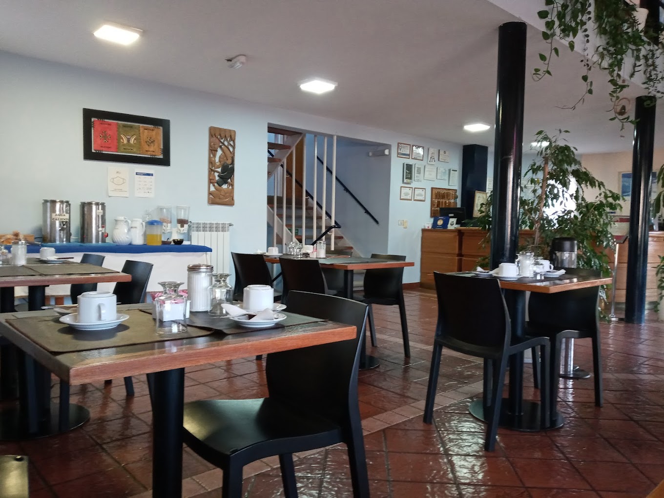 Recepción y bar